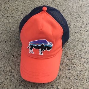 Patagonia trucker hat